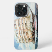 Etui iPhone 13 Pro Regata Cutty Shark (Dos)