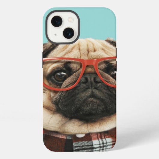 Etui iPhone 13 Pug (Verso)