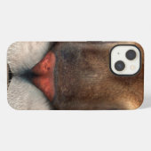 Etui iPhone 13 Puma (Verso Horizontal)