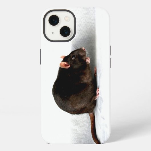 Etui iPhone 13 Rat iphcna (Verso)