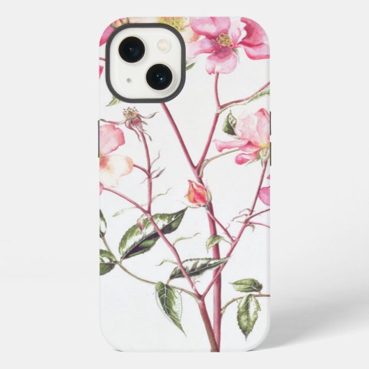 Etui iPhone 13 Rosa 'Mutabilis' 1996 (Verso)