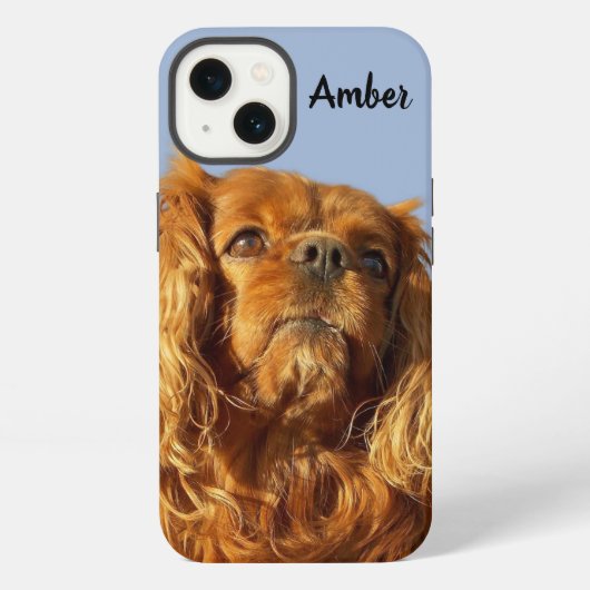 Etui iPhone 13 Ruby Cavalier King Charles Spaniel Chien Chien Chi (Verso)
