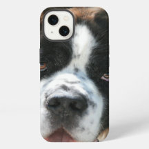 Saint Bernard Face