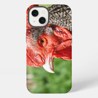 Etui iPhone 13 Scots Grey Rooster Photographie