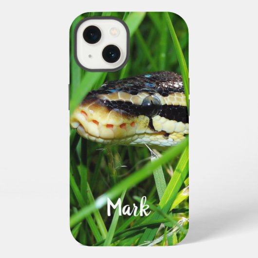 Etui iPhone 13 Serpent Python boule dans l'herbe (Verso)