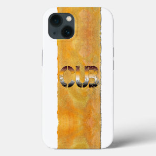 Etui iPhone 13 SlipperyJoe's ourson culturellement ancré LGBTQIA