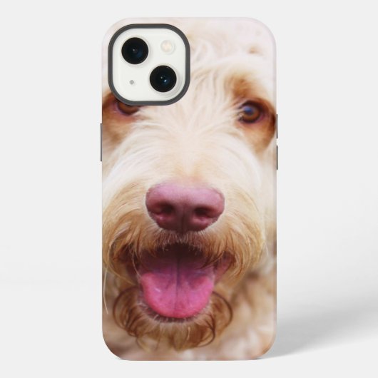 Etui iPhone 13 Souriant d'endoodle doré (Verso)