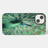 Etui iPhone 13 Strut Peacock (Verso Horizontal)