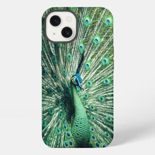 Etui iPhone 13 Strut Peacock (Verso)