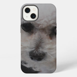 Etui iPhone 13 Sweet Bichon Frise