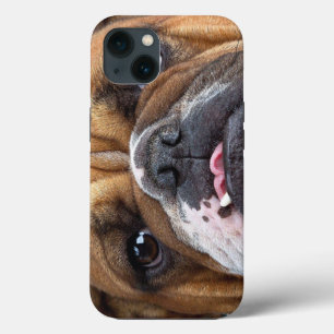Etui iPhone 13 Taie de coussin Bouledogue Anglais