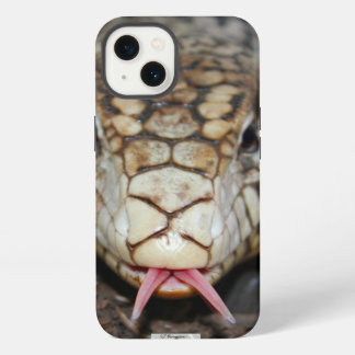 Etui iPhone 13 Tégu argentin