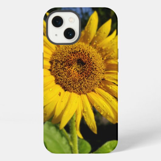 Etui iPhone 13 Tournesol (Verso)