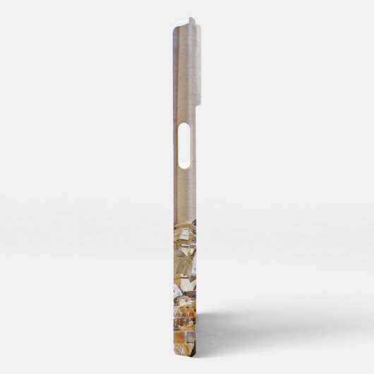 Etui iPhone 13 Trevi fountain (Côté droit)
