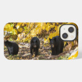 Etui iPhone 13 Trois ours (Verso Horizontal)