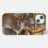Etui iPhone 13 Trophée Deer (Verso Horizontal)