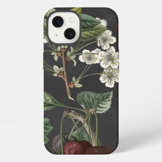 Etui iPhone 13 Variétés de verger I (Verso)