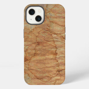 Etui iPhone 13 vieux canevas sale