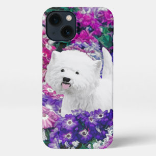 Etui iPhone 13 West Highland White Terrier Peinture Chien Art
