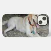 Etui iPhone 13 Yellow Labrador Retriever iPhone 8 Coque (Verso Horizontal)
