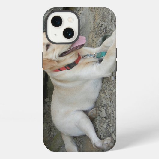 Etui iPhone 13 Yellow Labrador Retriever iPhone 8 Coque (Verso)