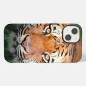 Etui iPhone 13 Yeux de Tigre (Verso Horizontal)