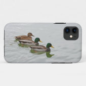 Étui iphone 5 avec canards colverts imprimés (Dos (Horizontal))