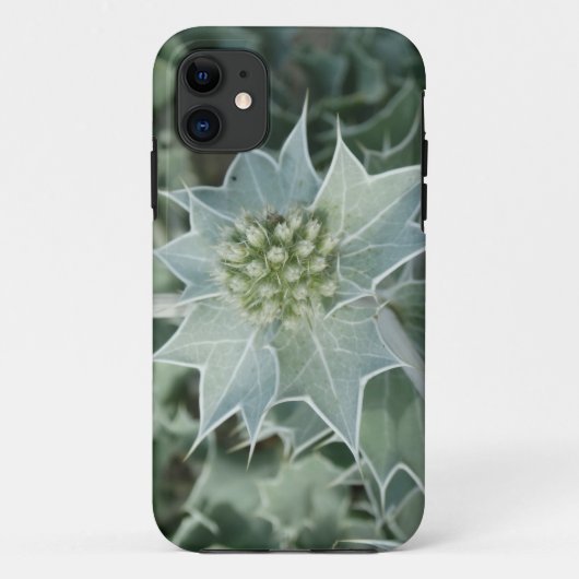 Étui iPhone Épine de plante verte été (Dos)