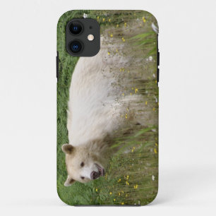Étui iPhone faune Kermode Spirit Bear