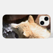 Étui Iphone Loup Gris (Verso (horizontal))