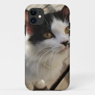 Étui iphone pour chaton