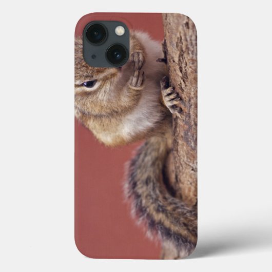 Étui pour iPad Chippie (Verso)