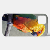Étui pour iPad Conure Jenday (Verso (horizontal))