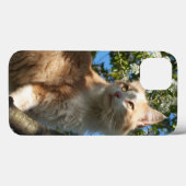 Étui pour iPad Sahara Cat In A Tree (Verso (horizontal))