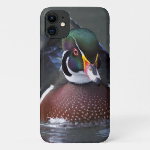 Étui pour iPhone 11 Canard branchu américain