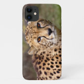 Étui pour iPhone 11 Cheetah (Dos)