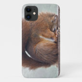 Étui pour iPhone 11 Lotus Squirrel (Dos)