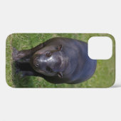 Étui pour iPhone 12 Bébé Hippopotame (Verso (horizontal))