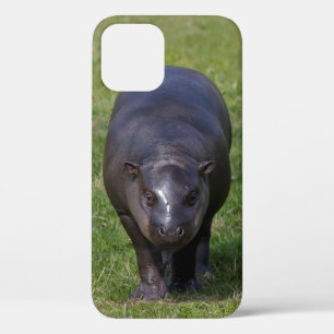 Étui pour iPhone 12 Bébé Hippopotame