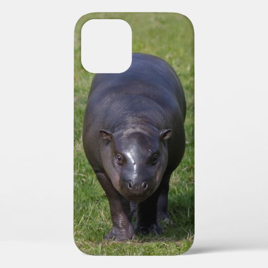 Étui pour iPhone 12 Bébé Hippopotame (Verso)