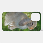 Étui pour iPhone 12 Lapin Minilop Bébé (Verso (horizontal))
