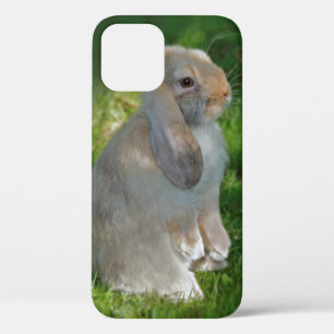 Étui pour iPhone 12 Lapin Minilop Bébé