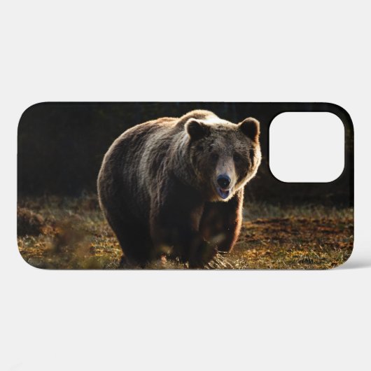 Étui pour iPhone 12 ours (Verso (horizontal))