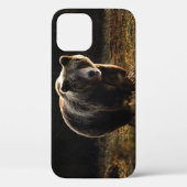 Étui pour iPhone 12 ours (Verso)