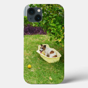 Étui pour iPhone 13, Charlie le renard terrier au