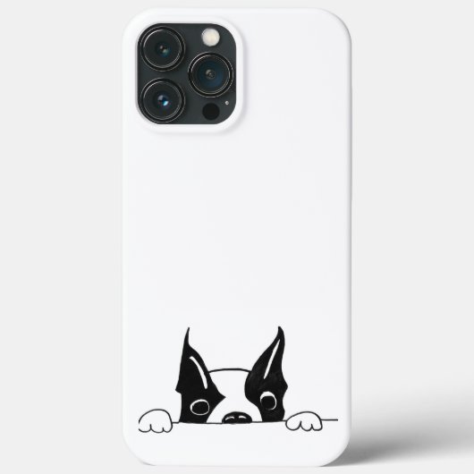 Étui pour iPhone 13 Pro Max SG - 226 (Verso)