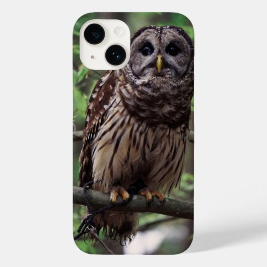 Étui pour iPhone 14 Chouette barrée (Verso)