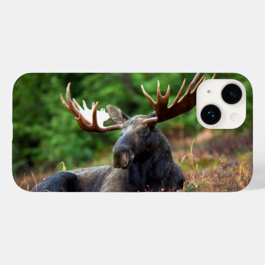 Étui pour iPhone 14 Moose (Verso (horizontal))