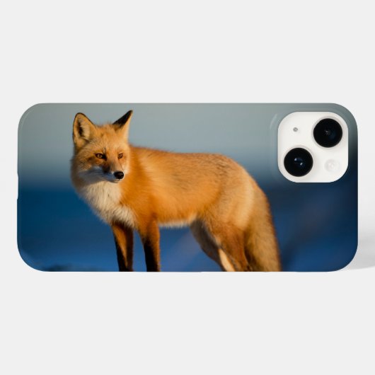 Étui pour iPhone 14 Renard Brun (Verso (horizontal))