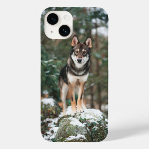 Étui pour iPhone 14 Wolfdog
